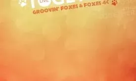Groovin' Foxes Chronik 01/2013